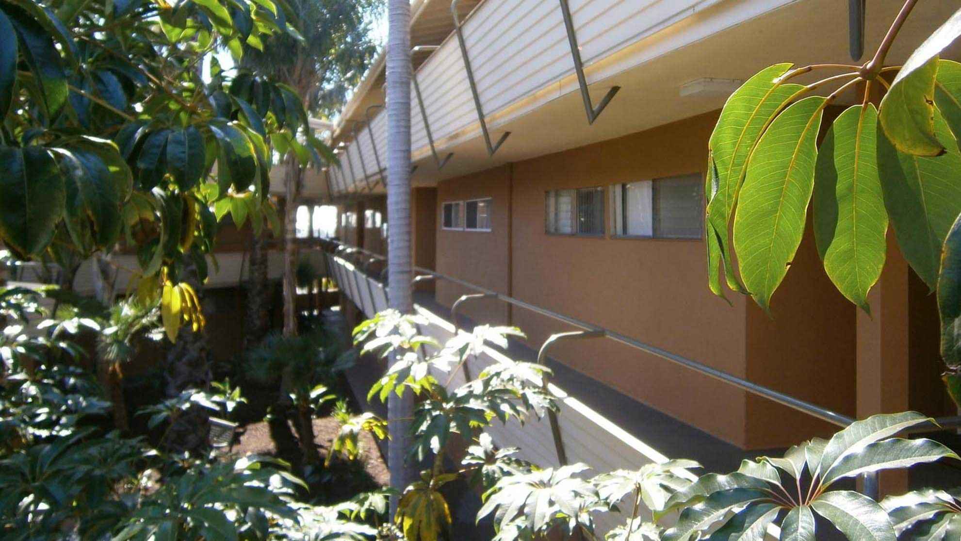 exterior walkway with trees at Terraces